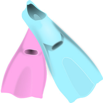 Bild von OpenClipart-Vectors auf Pixabay