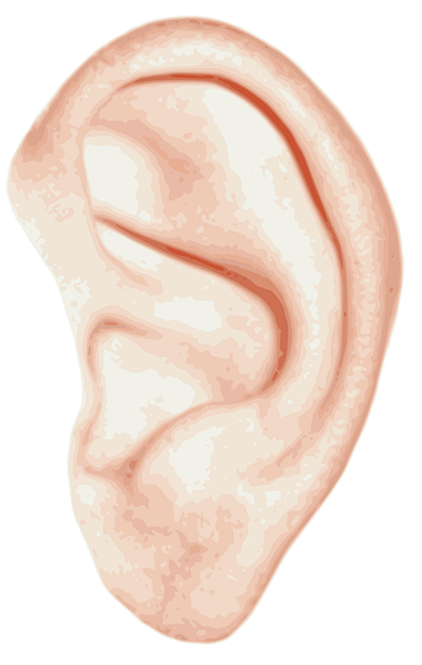 Bild von Clker-Free-Vector-Images auf Pixabay